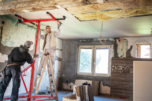 Best Eco-Friendly Insulation in Au Sable, MI