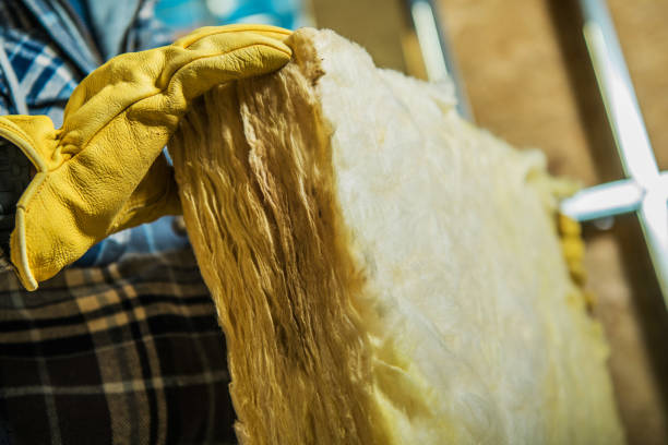 Best Insulation Maintenance and Repair in Au Sable, MI