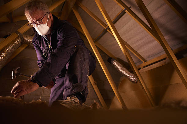 Best Cellulose Insulation in Au Sable, MI